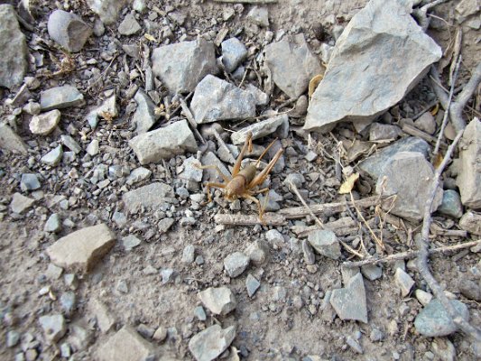 Na cestě z Dušanbe do Chorogu (2)